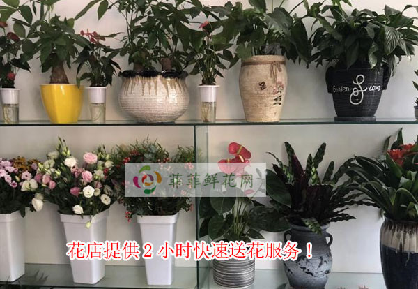 重庆万盛区花店提供重庆万盛区2小时快速送花服务